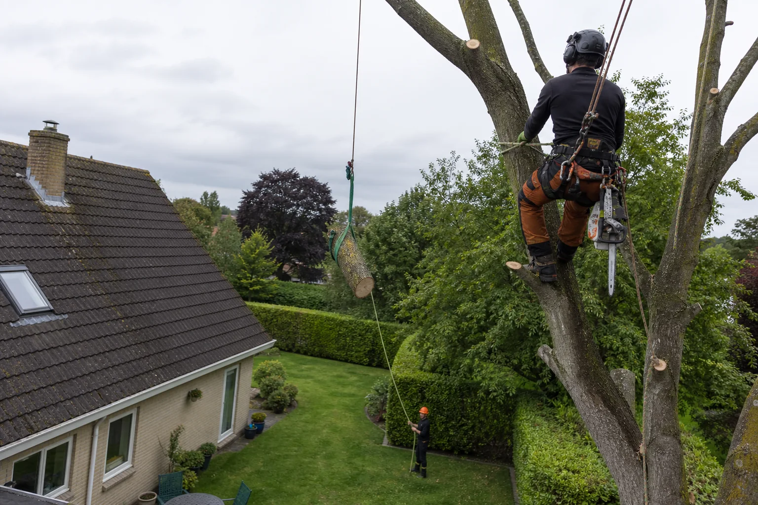 A rope-secured arborist lowers a short branch section above a clear garden.