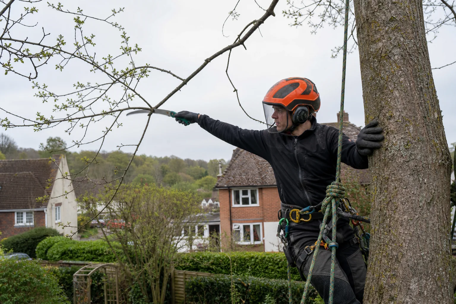 A gloved rope-secured arborist reaches from the trunk to prune a small branch with a hand saw.