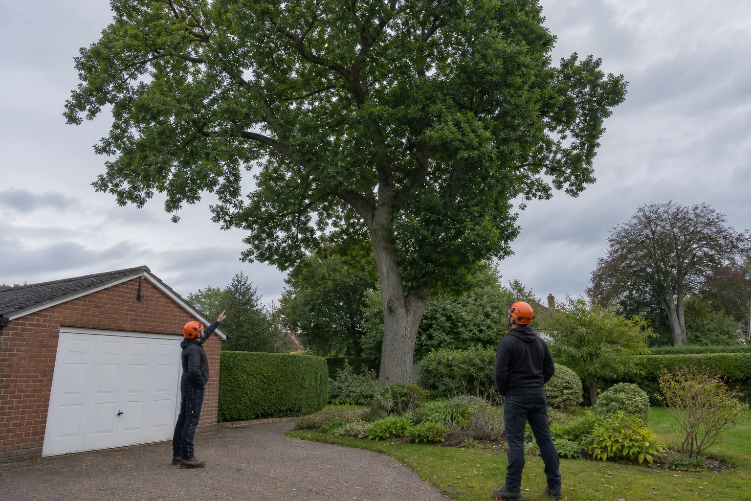 Two arborists assess a mature tree beside a brick garage, drive and planted garden.