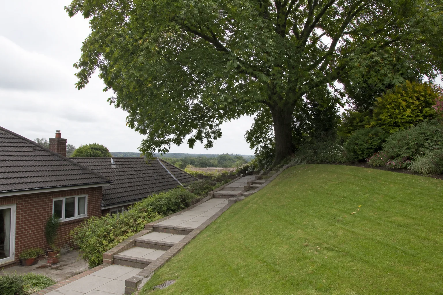 A mature broadleaf tree above a paved stepped path on a sloping garden beside a brick home.