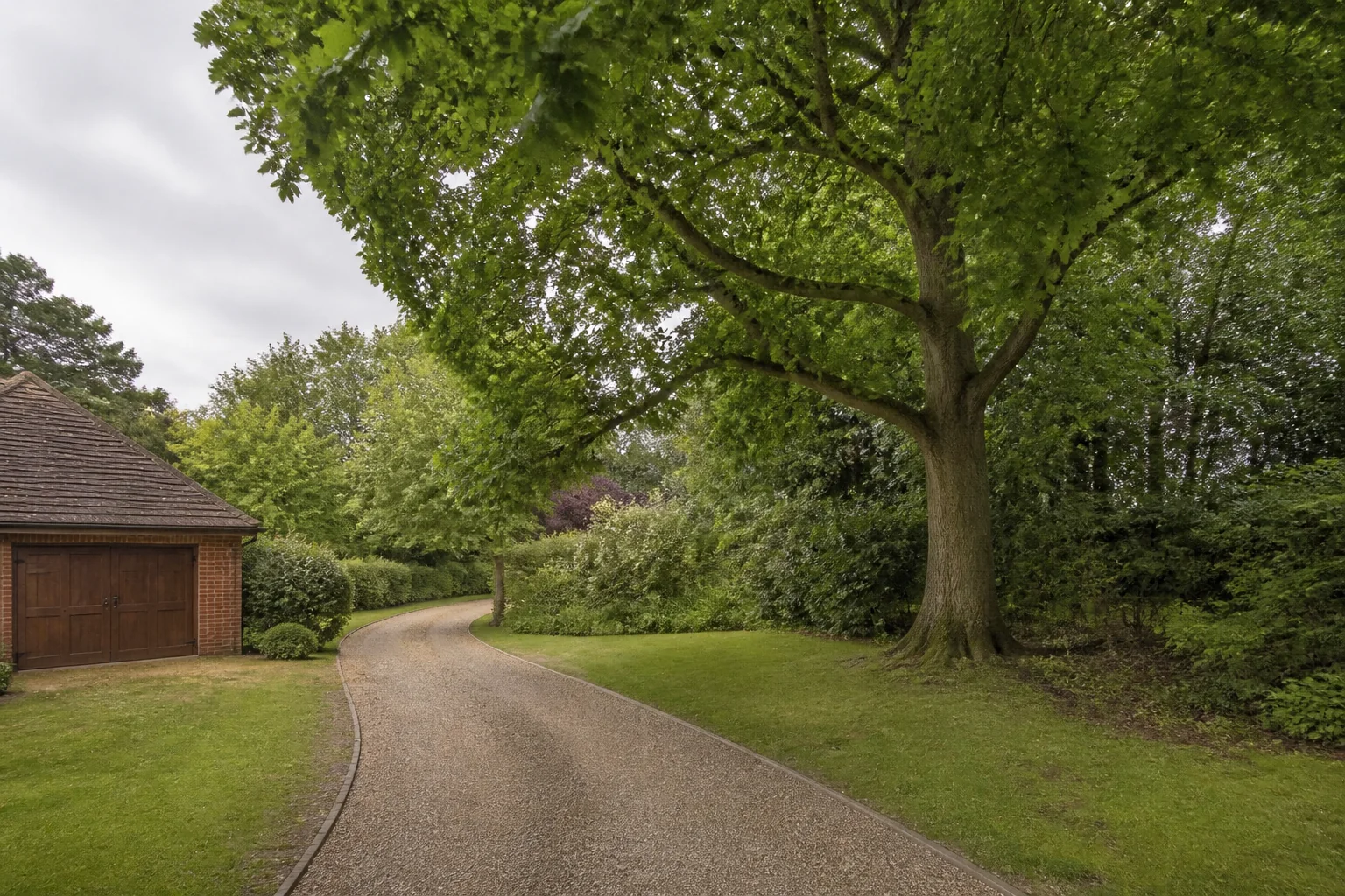 A mature broadleaf tree beside a long curved gravel drive, mixed hedges and a brick garage.