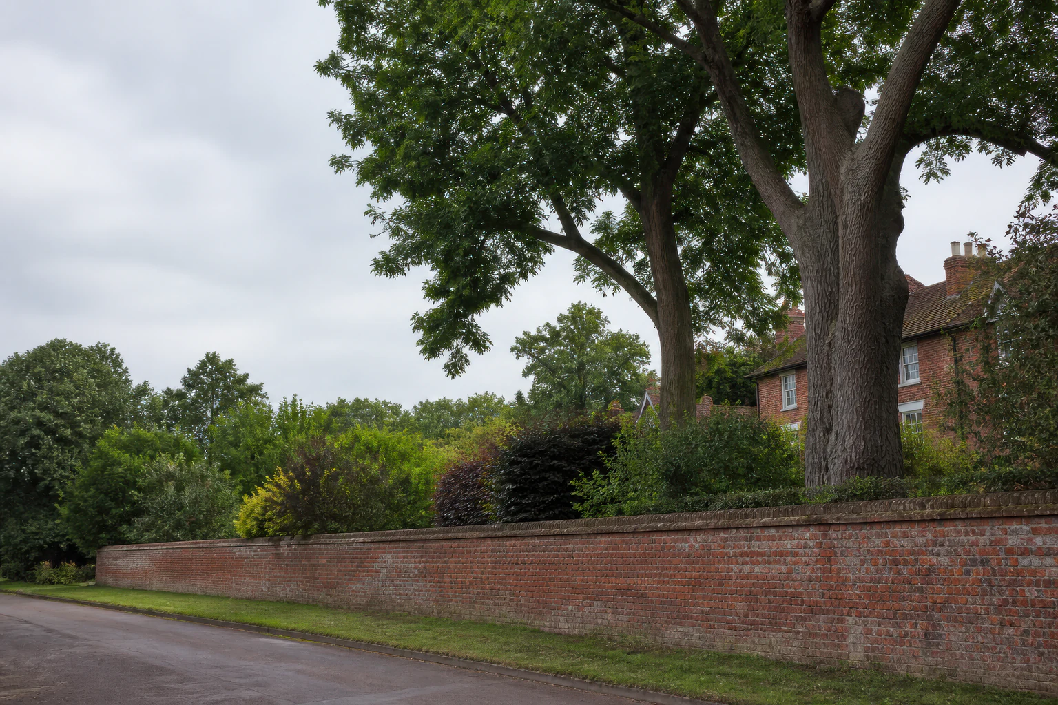 Tall mature broadleaf trees behind a long brick boundary wall and established garden.