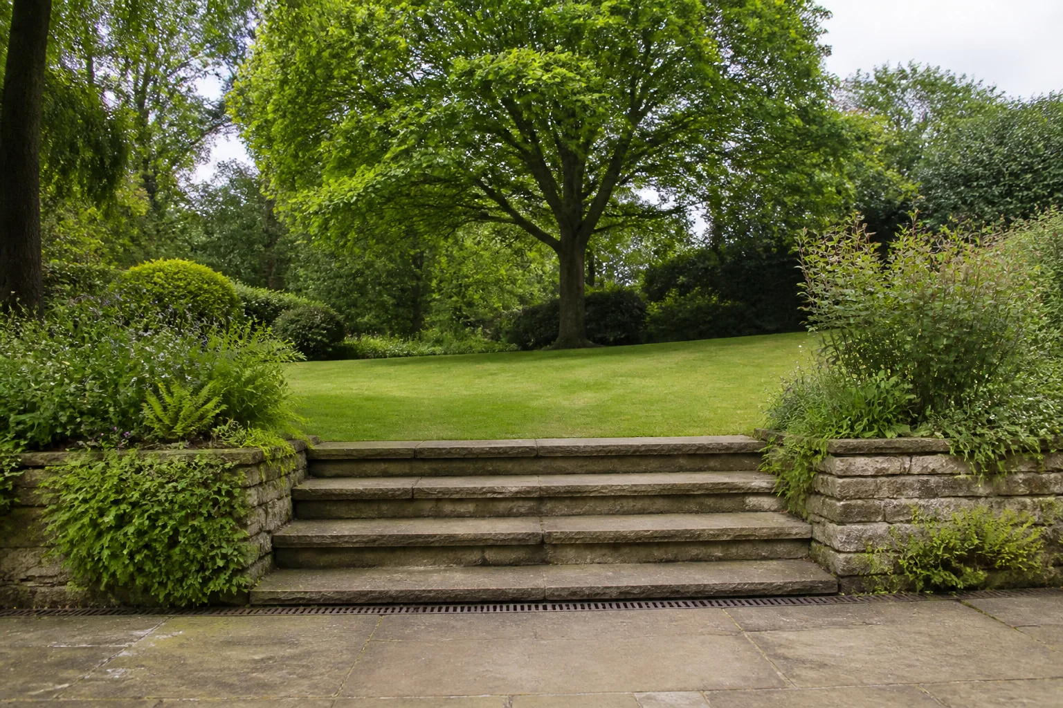 Broad stone garden steps rising from a paved terrace to a lawn with a mature broadleaf tree.