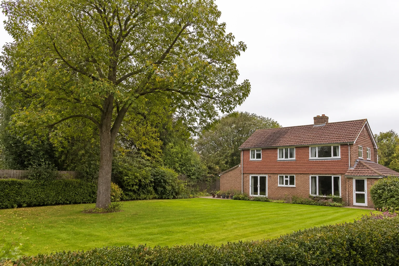 A large garden tree beside a detached home, mature hedge and wooded boundary.