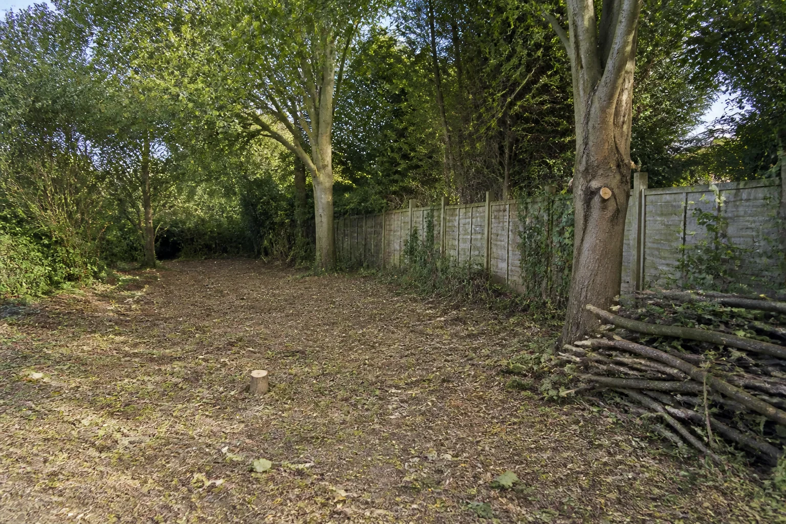 A cleared strip of ground with retained mature trees, low stumps and stacked brash.