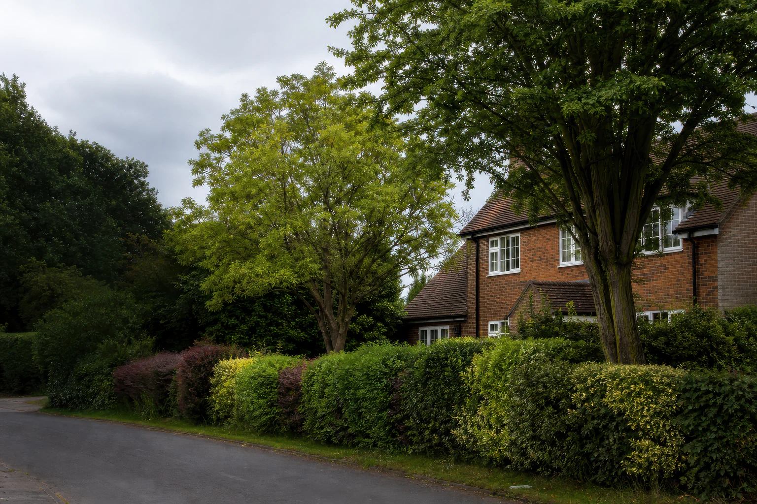 Mature trees and a clipped hedge beside a detached British home.