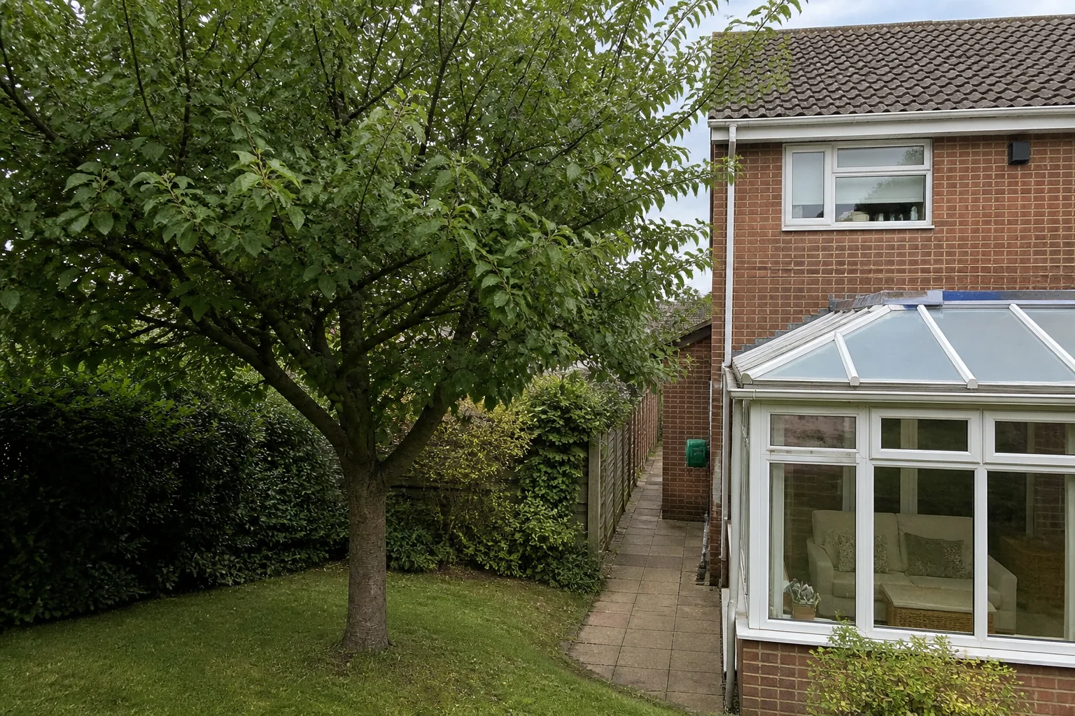 A garden tree beside a semi-detached brick home, conservatory and narrow side passage.