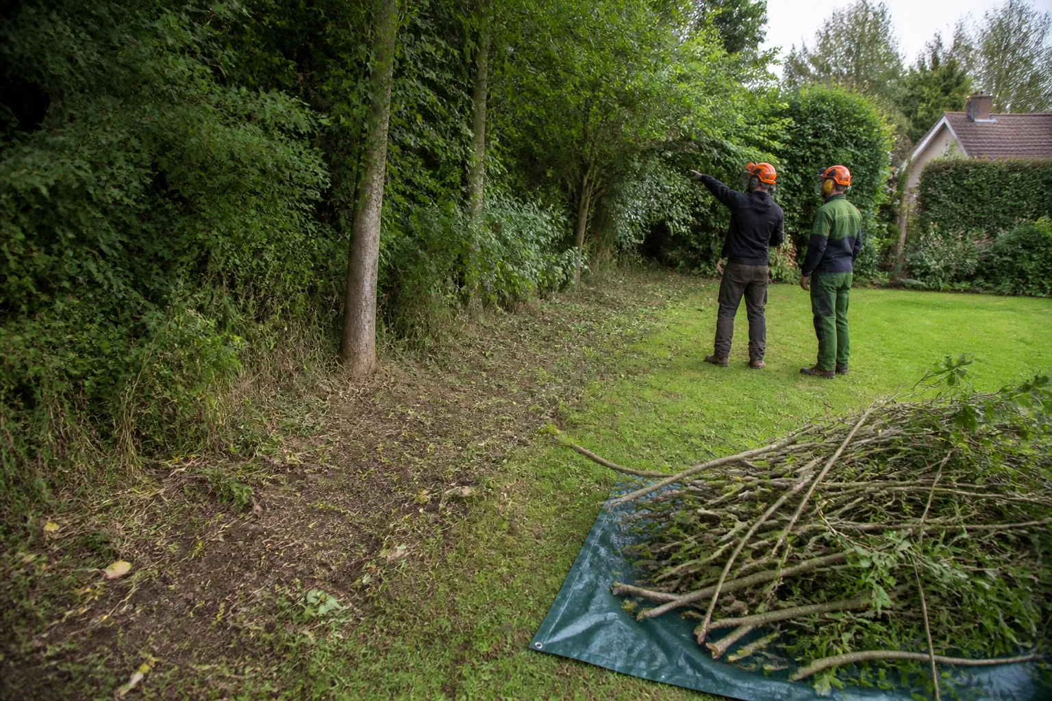A cleared garden plot with retained mature trees, low stumps and stacked brash.