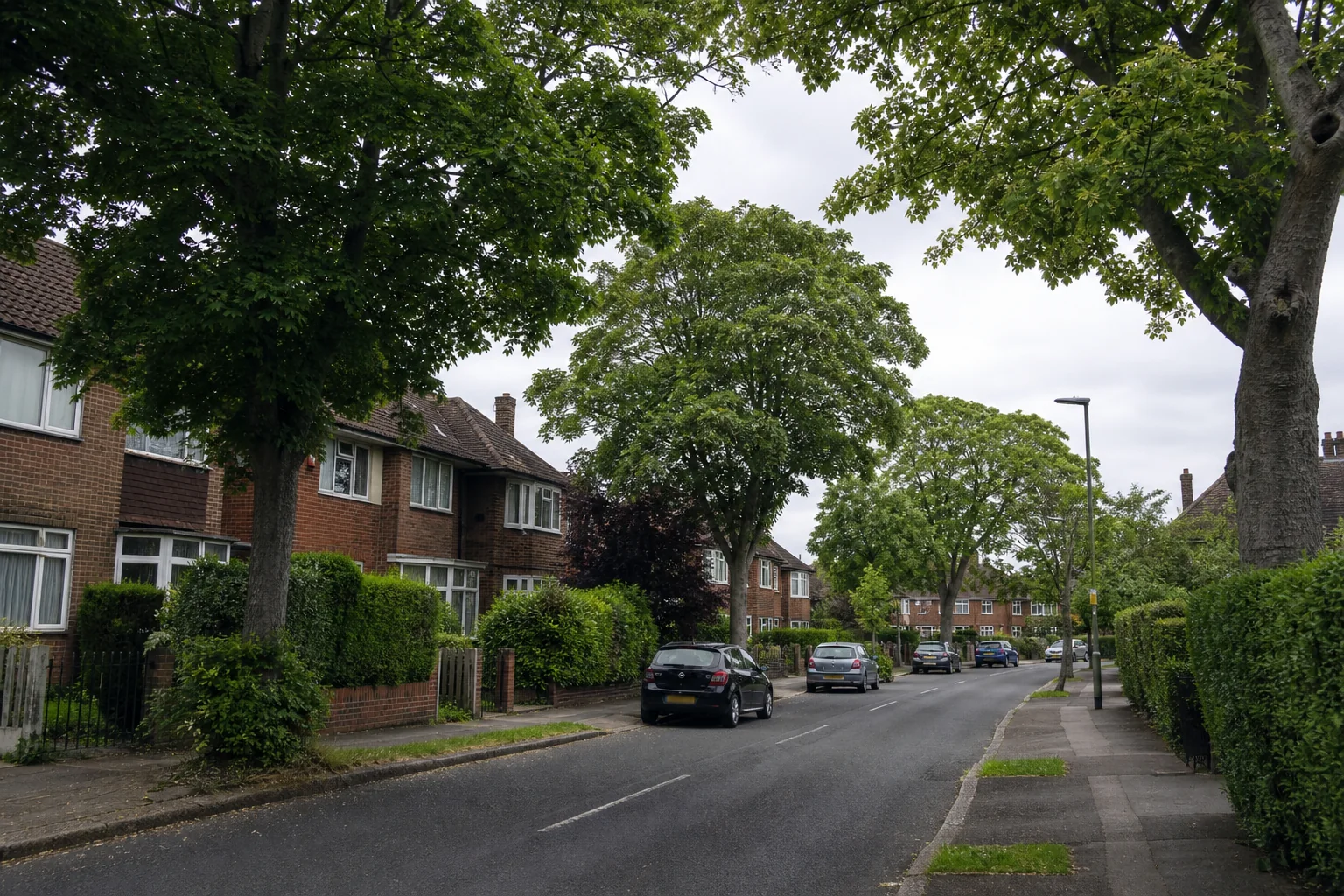 Mature trees growing along a residential street with brick homes and front gardens.
