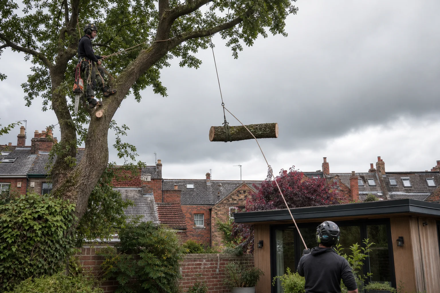 A rope-secured arborist and ground worker lower a short stem section in a walled garden.