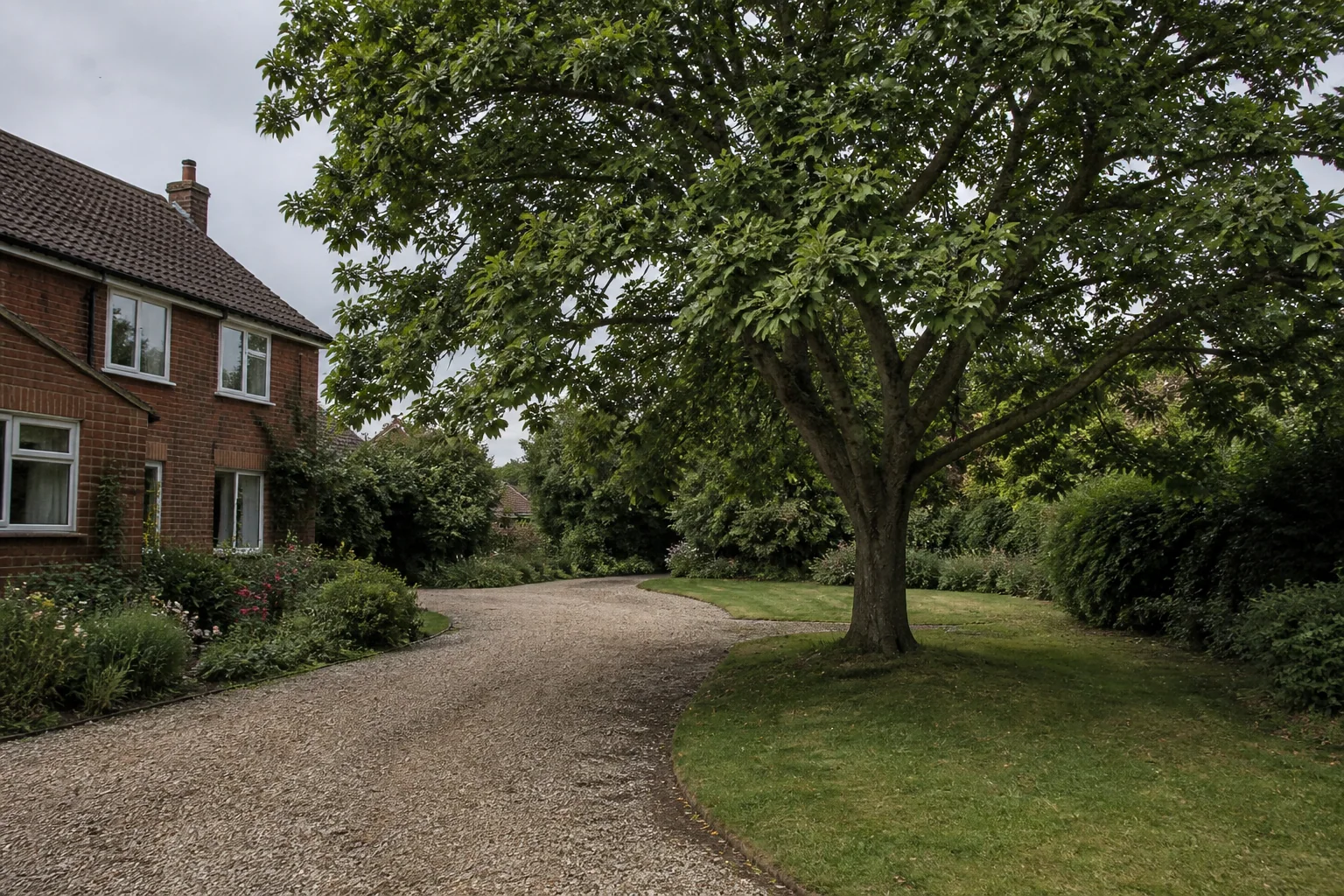 A mature garden tree beside a detached brick home, planted border and gravel drive.