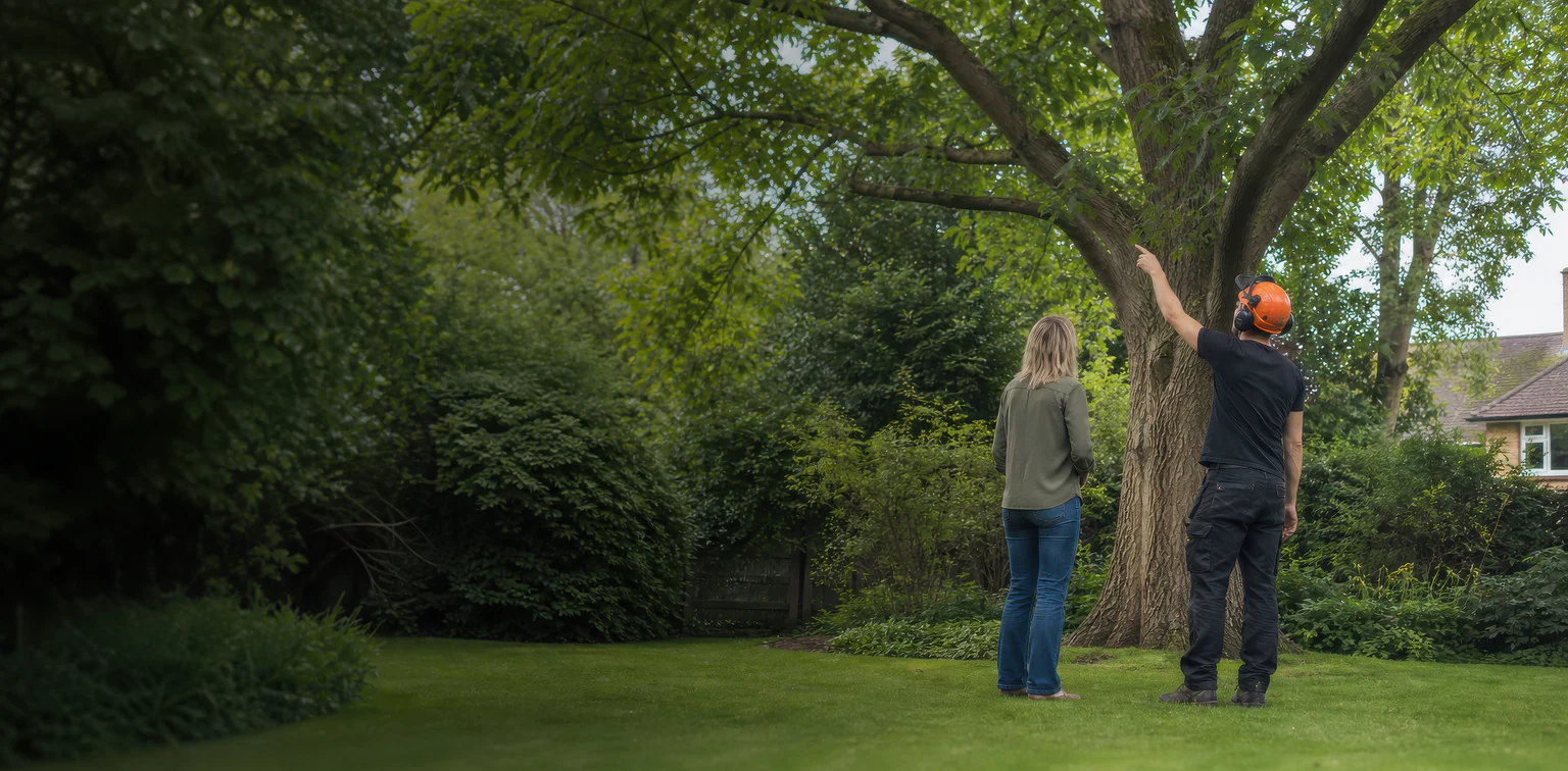 An arborist and a property owner looking up at a mature garden tree.