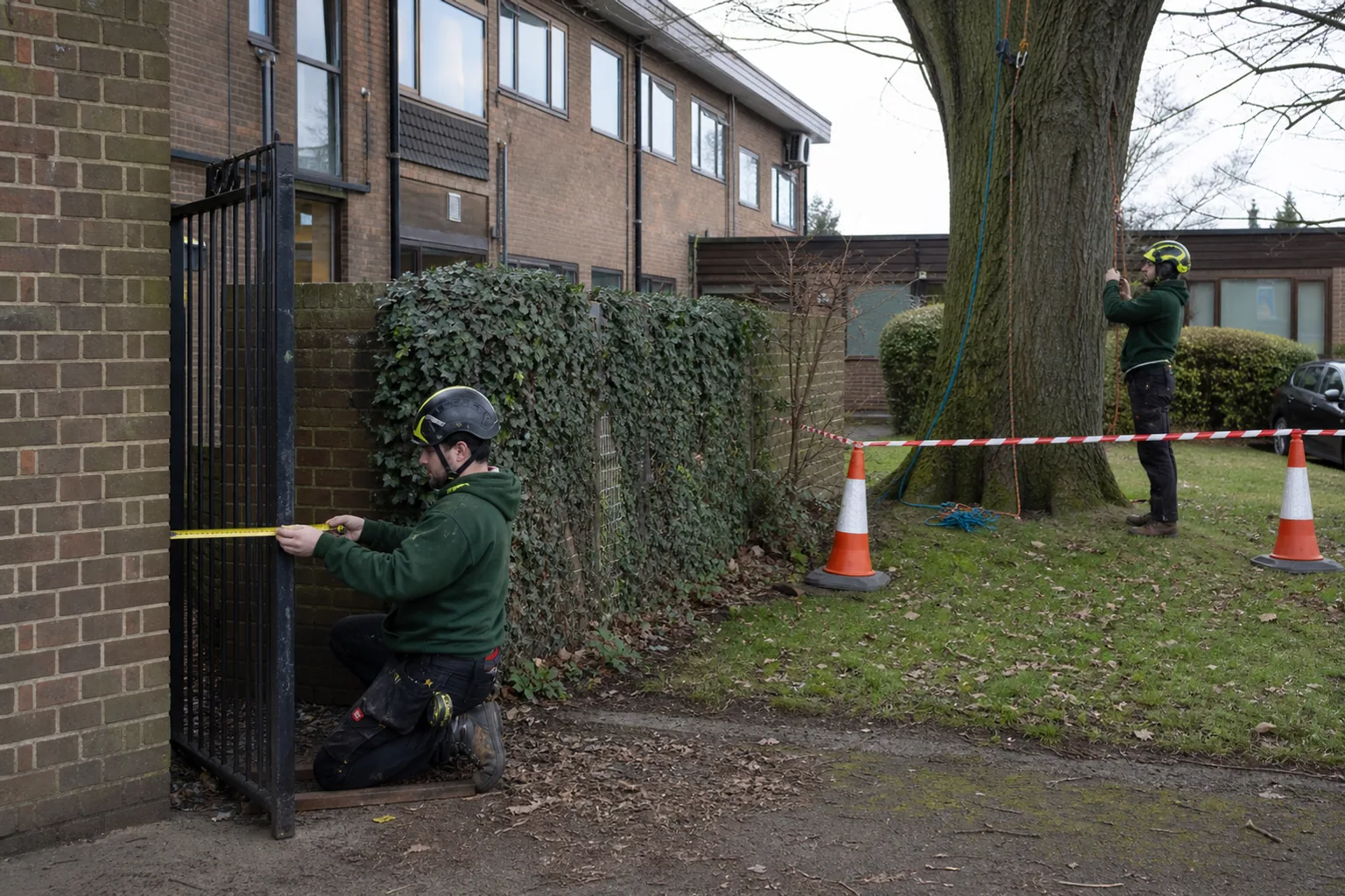 Two tree workers check a gated access route and set a barrier around a mature tree.