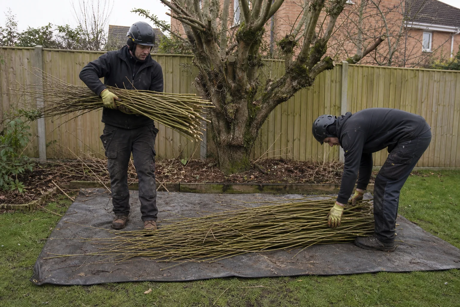 Two tree workers stacking slender cut pollard shoots on a ground mat.