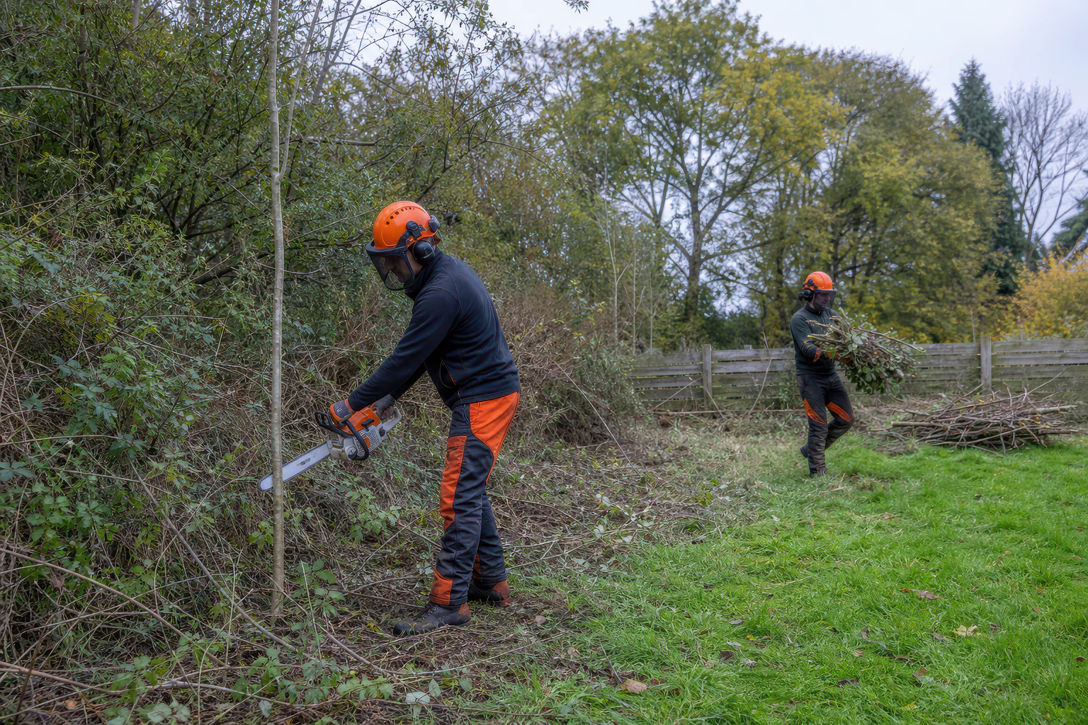 Two arborists cutting small stems and moving brash at the edge of an overgrown plot.