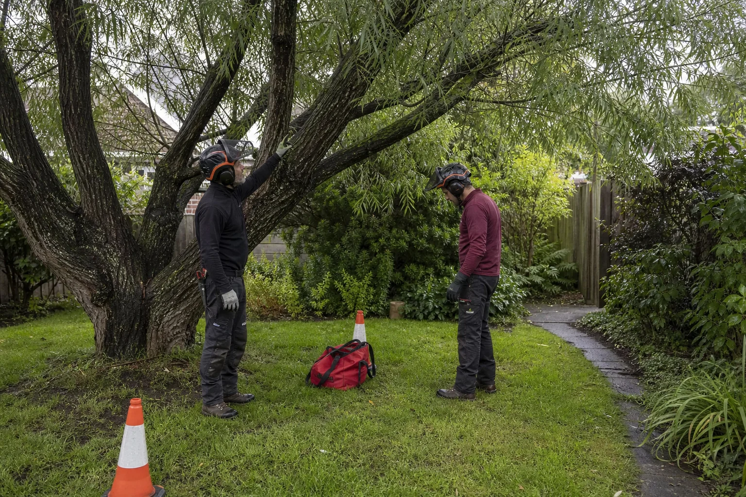 Two arborists check a low willow limb and the damp carrying route through a garden.